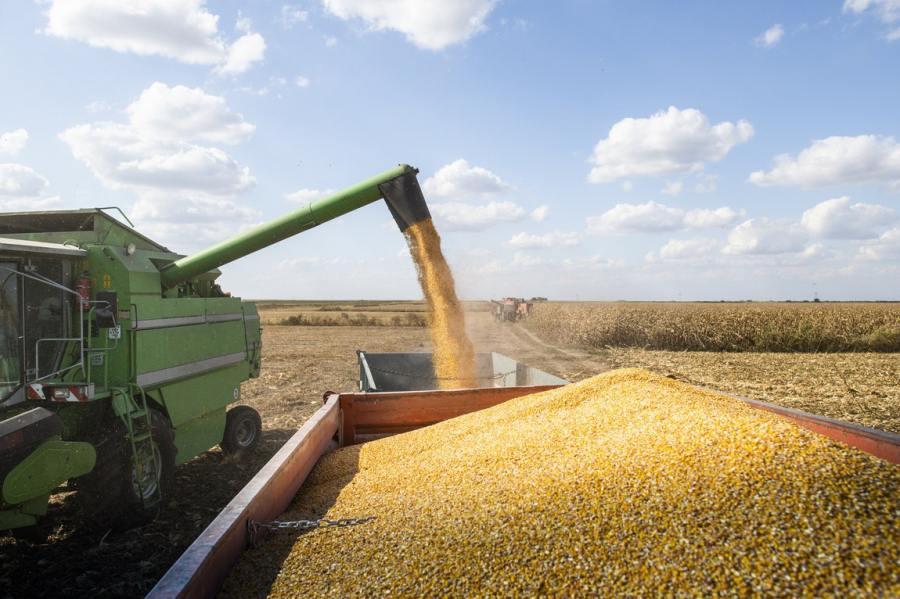 Esmagamento de soja em Mato Grosso é recorde; preço com tendência de queda